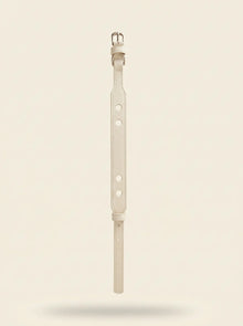 Collier chien cuir végétal blanc Albâtre – Zumis Paris