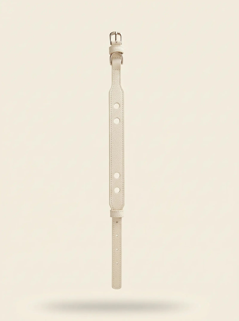 Collier chien cuir végétal blanc Albâtre – Zumis Paris