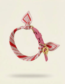 Collier chien cuir végétal Opaline et foulard en soie Aurore Poudrée – Zumis Paris