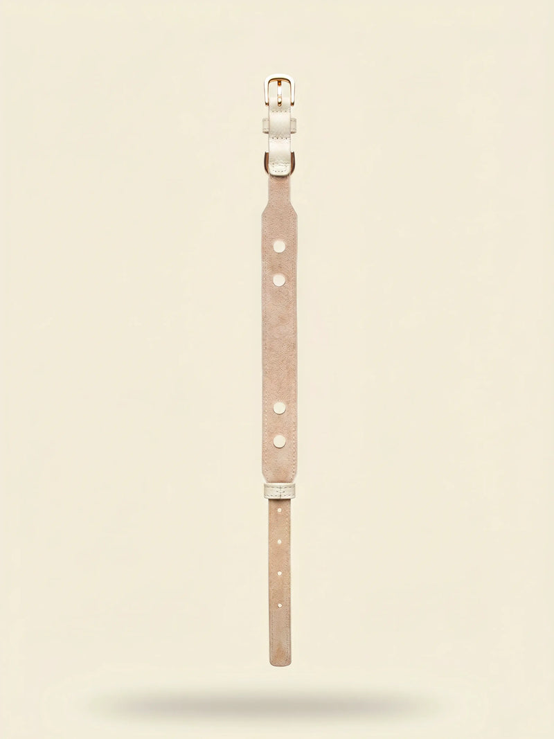 Collier chien cuir végétal blanc Albâtre – Zumis Paris