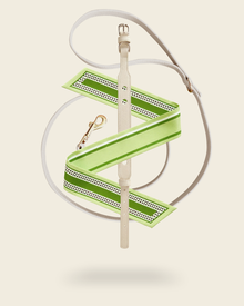 Coffret collier laisse chien Albâtre foulard soie vert Feuille de Sauge – accessoire luxe chien