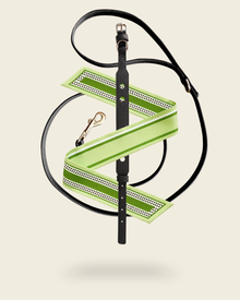 Coffret collier laisse chien Anthracite foulard soie vert Feuille de Sauge – accessoire chien cuir végétal