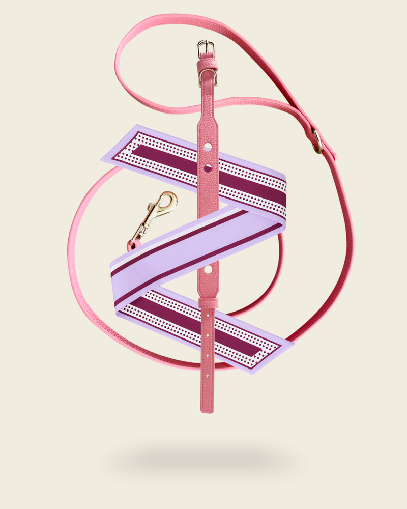 Coffret collier et laisse chien cuir végétal rose Opaline avec foulard soie Brume Lilas – Zumis Paris