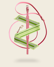 Coffret collier laisse chien Opaline avec foulard soie vert Feuille de Sauge – ensemble assorti cuir végétal