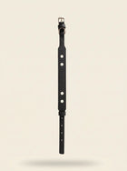 Collier chien cuir végétal noir Anthracite – Zumis Paris