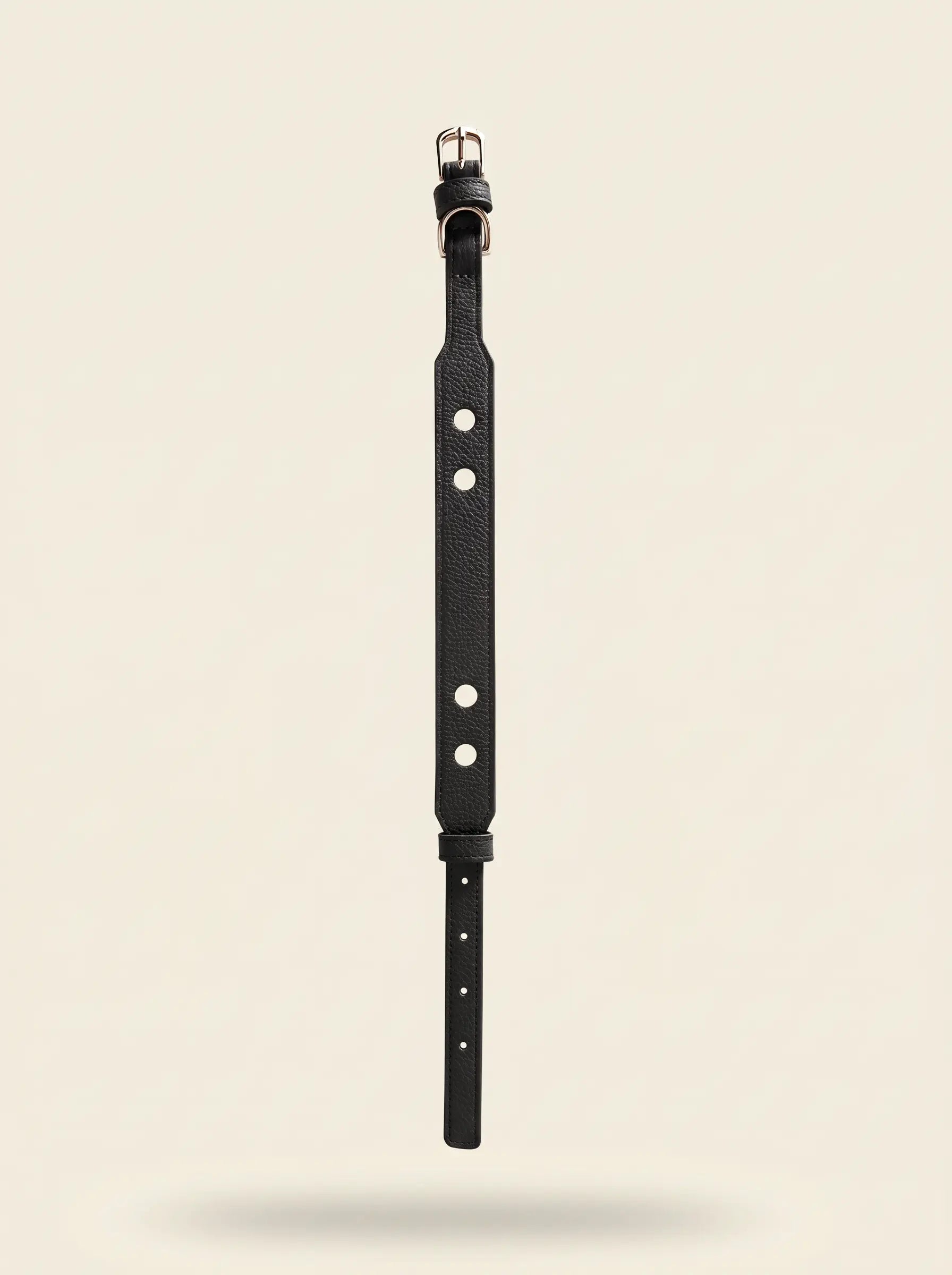 Collier chien cuir végétal noir Anthracite – Zumis Paris