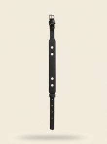 Collier chien cuir végétal noir Anthracite – Zumis Paris