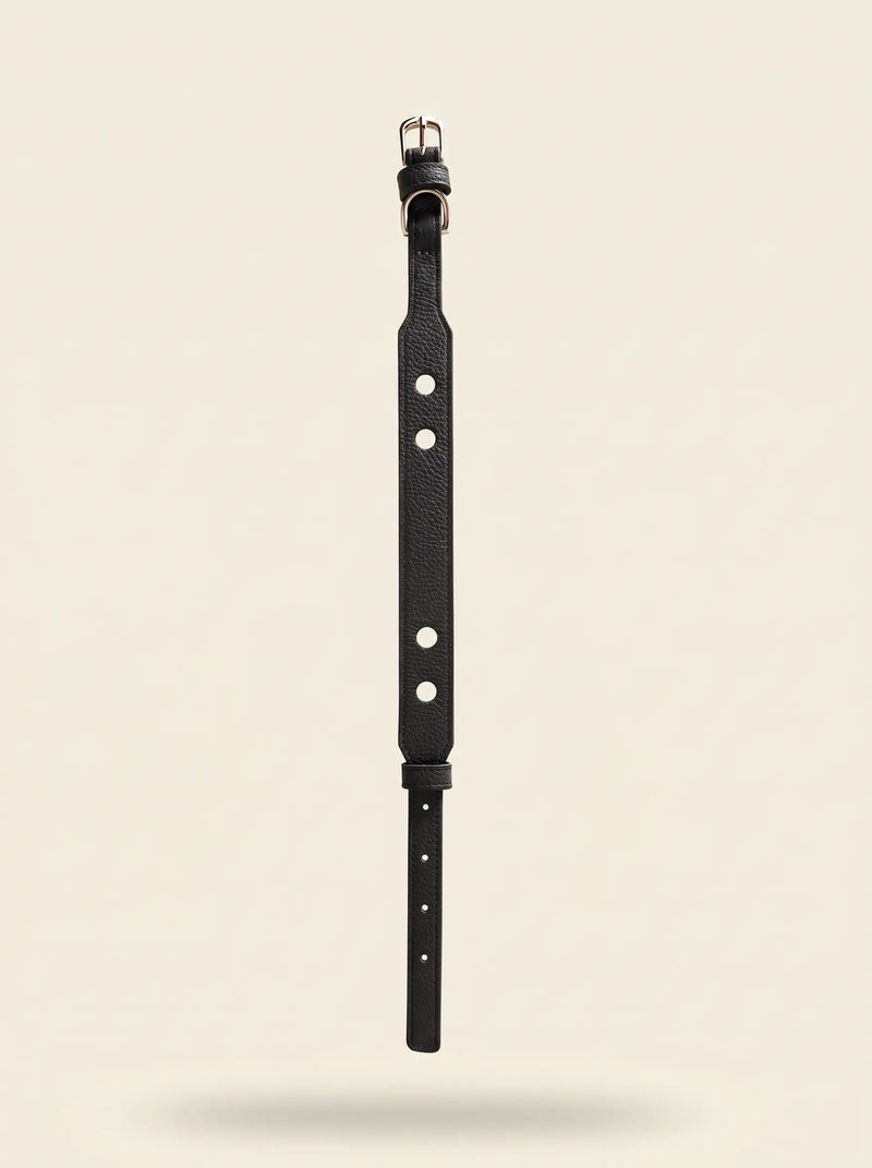 Collier chien cuir végétal noir Anthracite – Zumis Paris