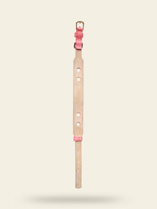Collier chien cuir végétal Opaline – Zumis Paris