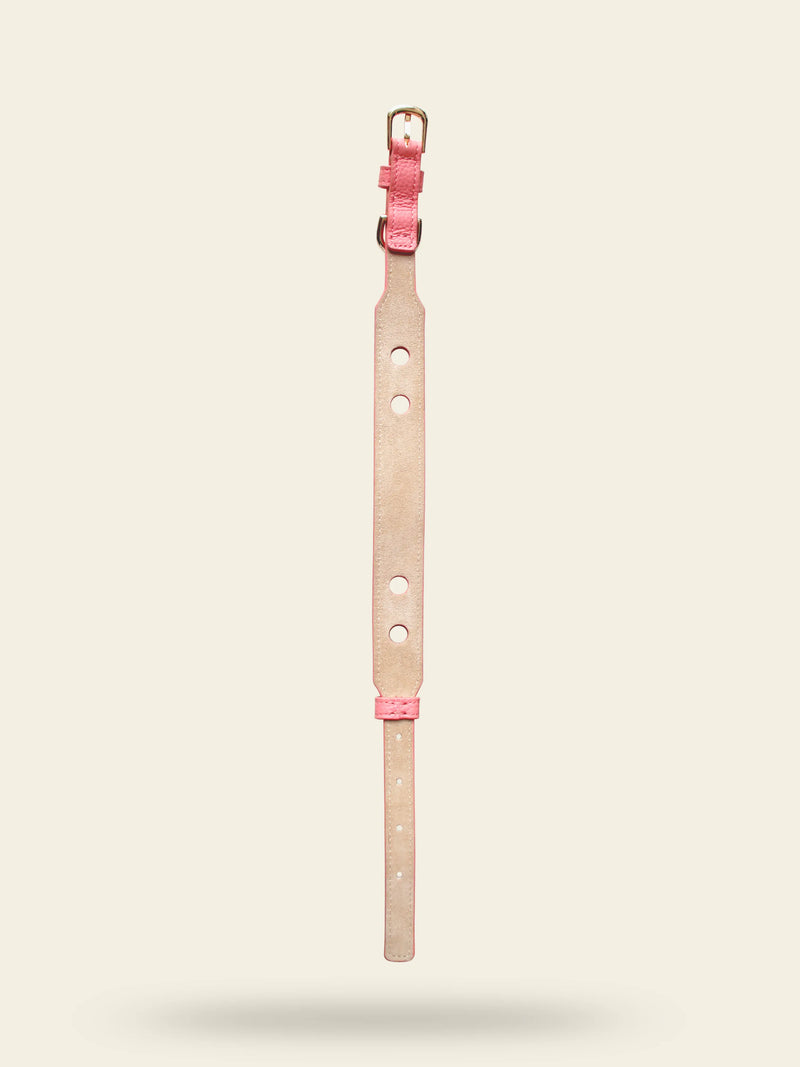 Collier chien cuir végétal Opaline – Zumis Paris