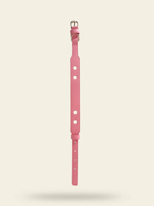 Collier chien cuir végétal Opaline – Zumis Paris