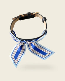 Collier chien cuir végétal Anthracite et foulard en soie bleu Ciel d'Azur – Zumis Paris