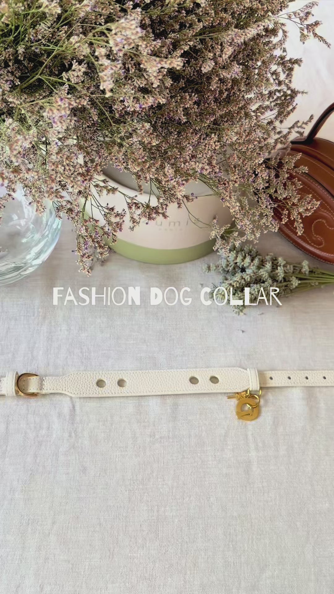 collier-chien-cuir-foulard-zumis-mov